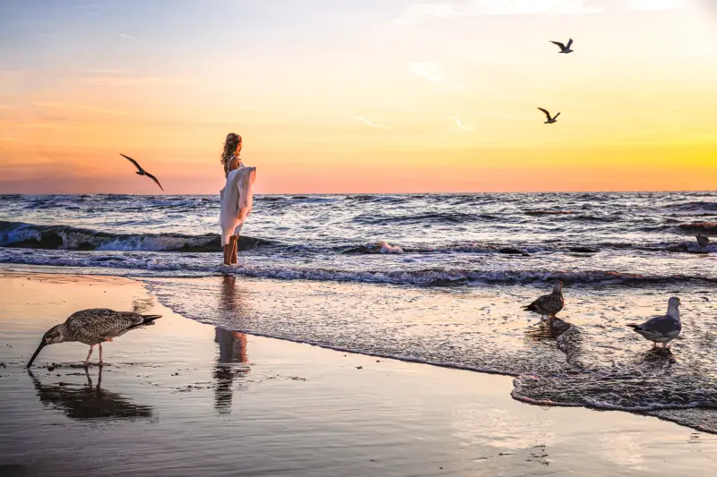 Trouwfotograaf Terschelling