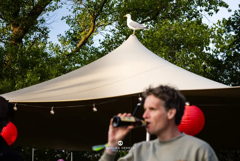 Festivalbruiloft op Terschelling, trouwen op Terschelling